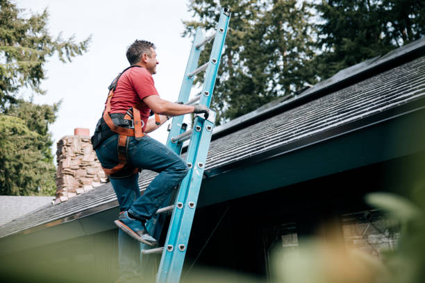 Best Sheet Metal Roofing  in Eden, NC